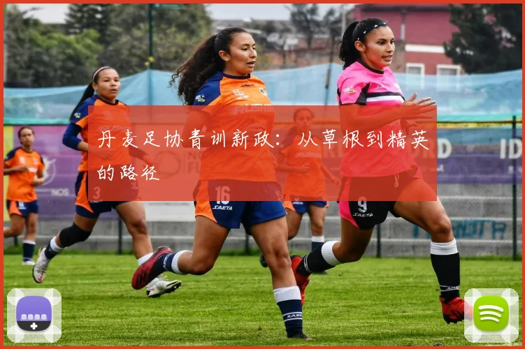 丹麦足协青训新政：从草根到精英的路径