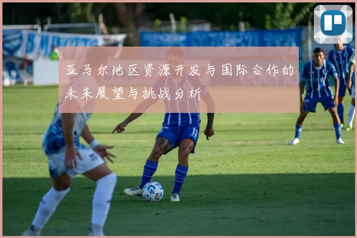 亚马尔地区资源开发与国际合作的未来展望与挑战分析