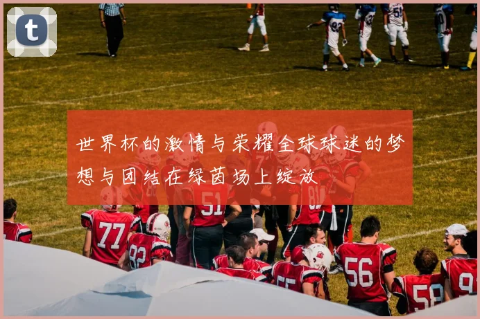 世界杯的激情与荣耀全球球迷的梦想与团结在绿茵场上绽放