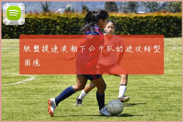 联盟提速浪潮下公牛队的进攻转型困境
