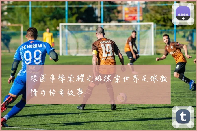 绿茵争锋荣耀之路探索世界足球激情与传奇故事