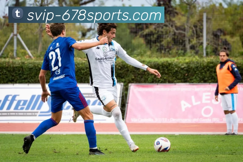 678体育平台APP 高清赛事图